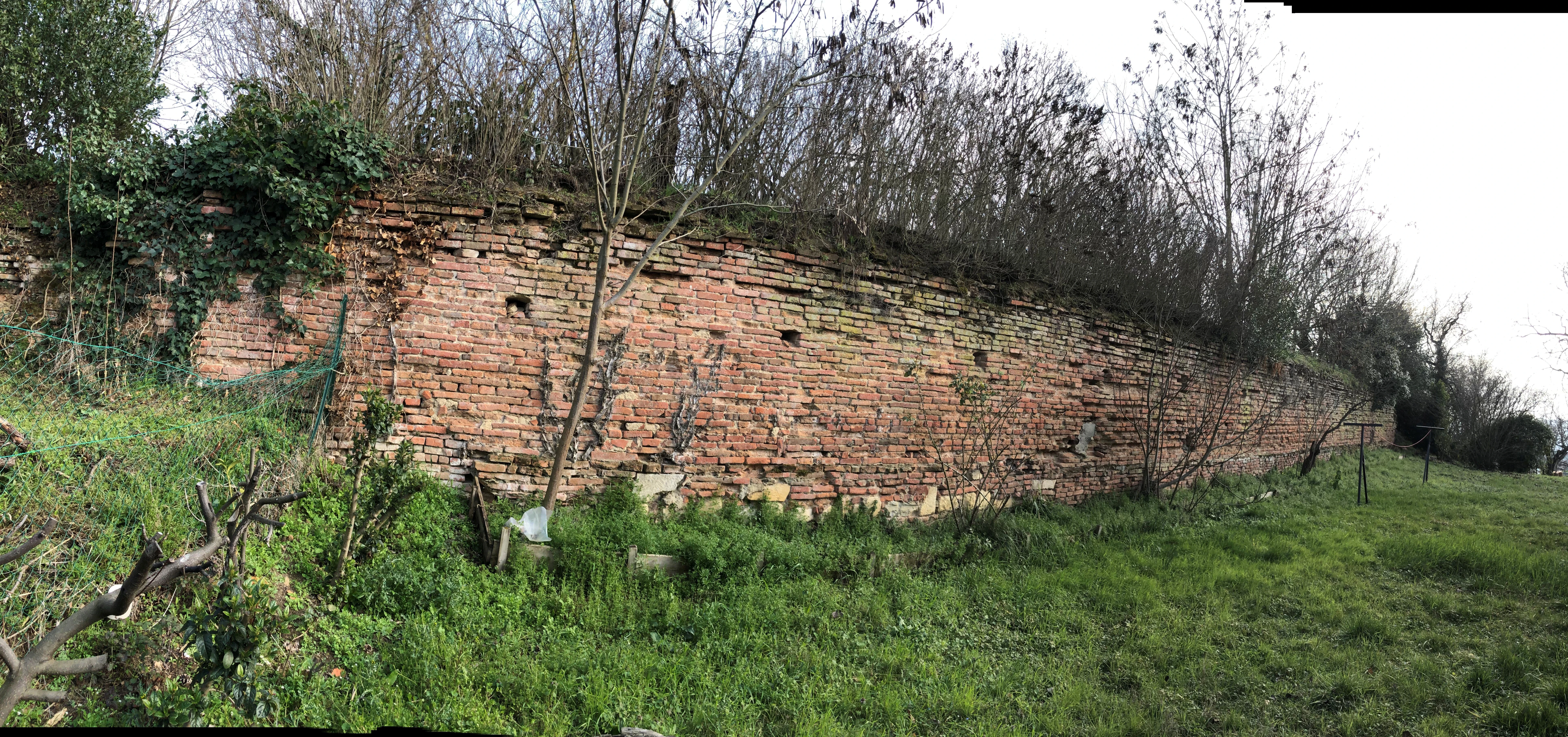 Mur